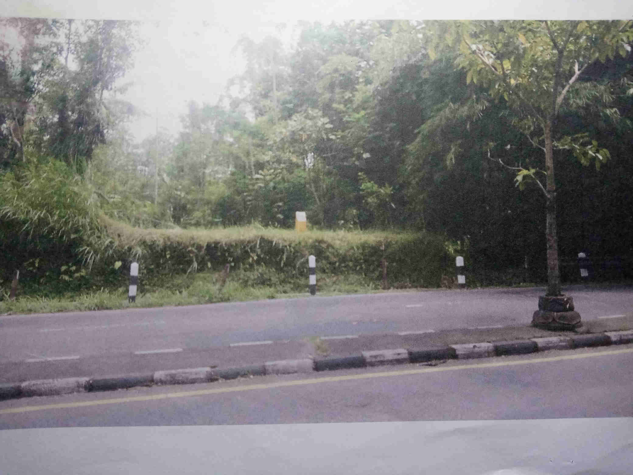 image card