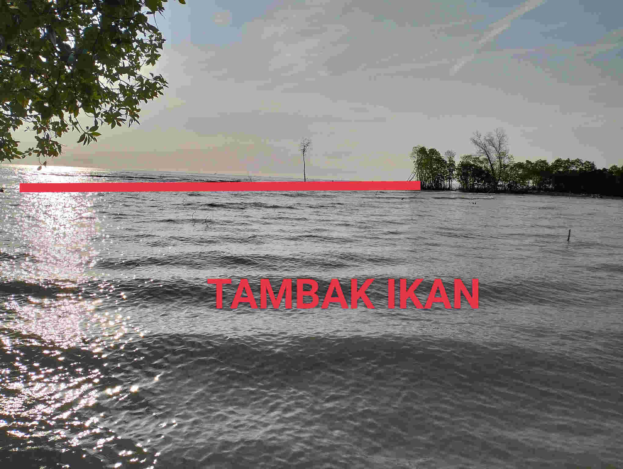 image card