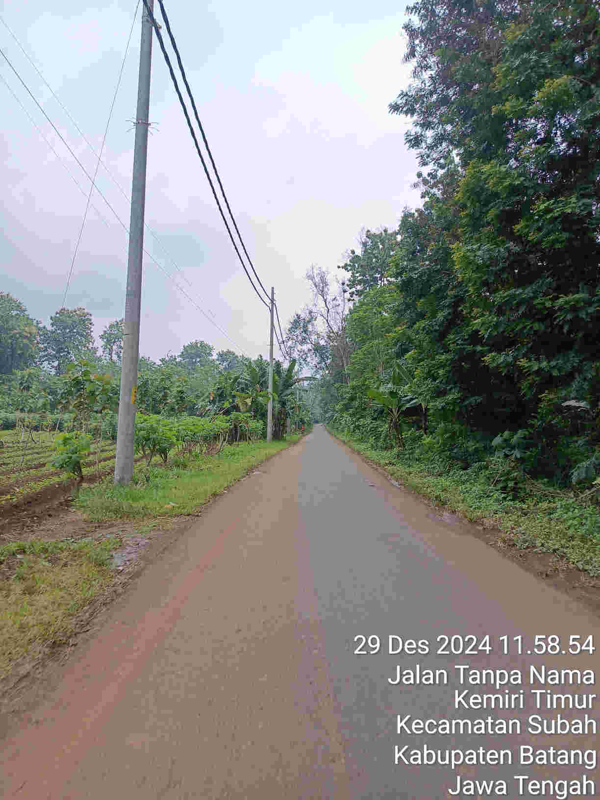 image card