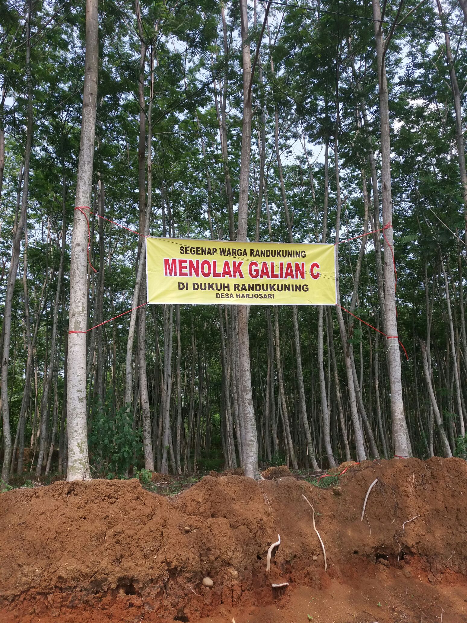 image card
