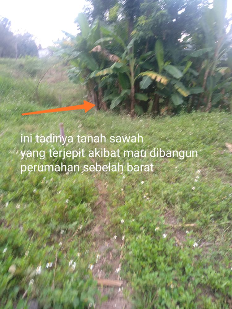 image card