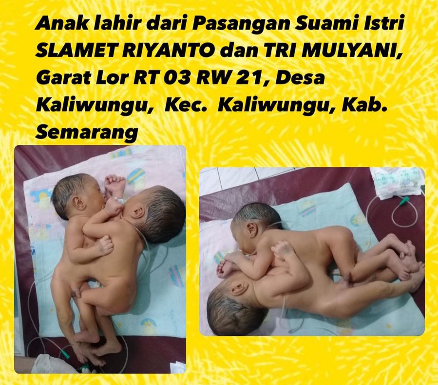 image card